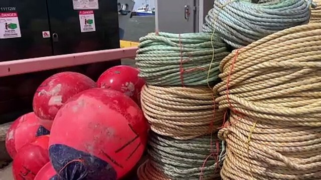 Crevette : des pêcheurs acadiens lancent la serviette