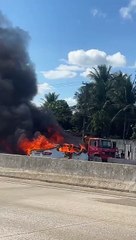Acidente fatal na BR-101 resulta em vítima carbonizada em Teotônio Vilela