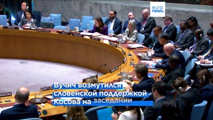 "Это относится только к их политикам". Вучич извинился за то, что назвал словенцев "отвратительными"