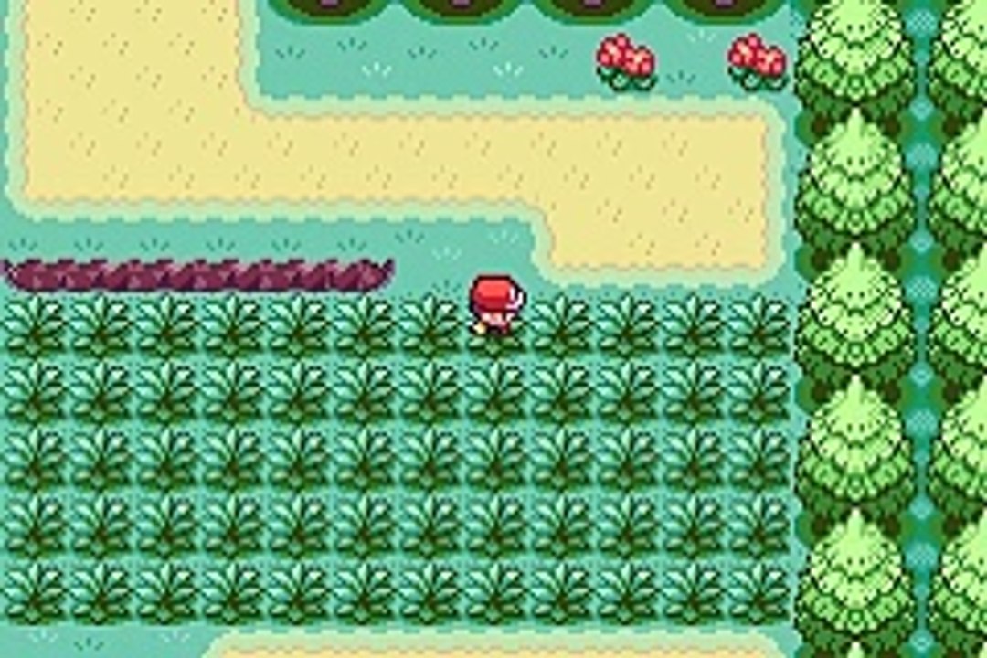 Pokémon Version Rouge Feu online multiplayer - gba