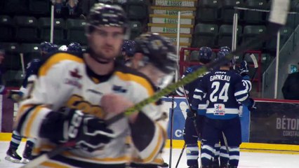 topo 3L serie thetford