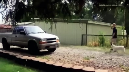 ID INVESTIGAÇÃO DISCOVERY - CIDADE PACATA CRIME CRUEL - CRÂNIO NO QUINTAL