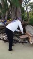 Bañistas rescatan tortuga marina en Roatán
