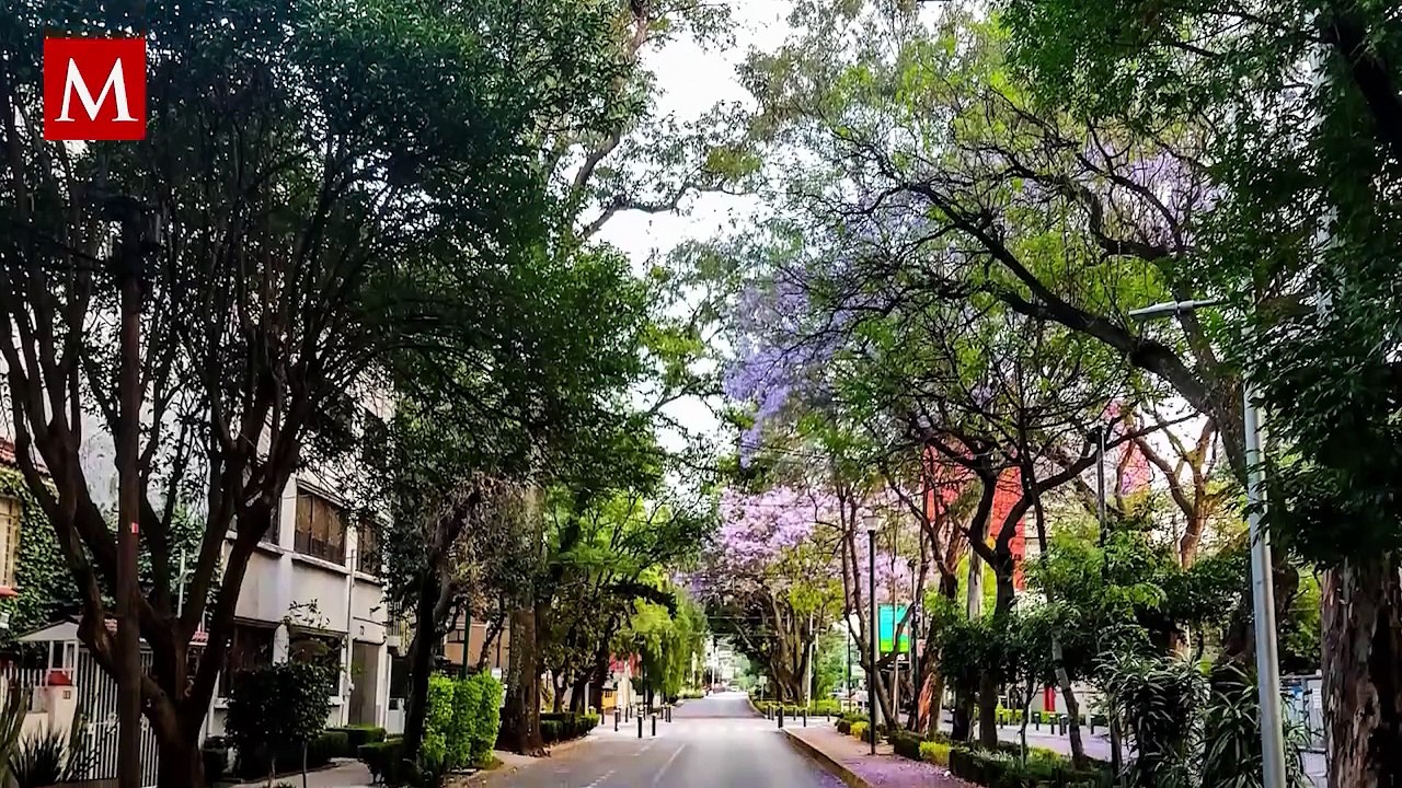 El misterios sobrenaturales de la Casa de las Brujas en la Colonia Roma