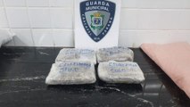 GM apreende travesseiro com capulho de maconha na Rodoviária de Cascavel