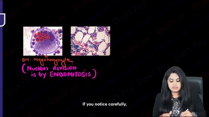 Haematology // coagulation platelet pathaway // pathology