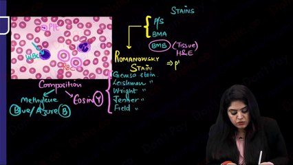 Hematology introduction // pathology