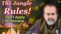 Jungle Rules Don't Apply to Humans || Acharya Prashant, IIT Madras (2023)