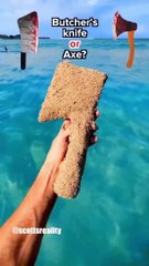 ThatRiceGuys  Pass ✅ or Fail ❌ this challenge