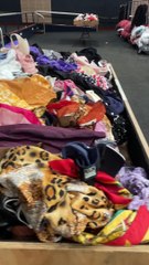 Preparations for Wollongong's first vintage kilo sale