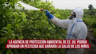 La Agencia de Protección Ambiental de EE. UU. podría aprobar un pesticida que dañaría la salud de los niños