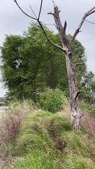 i dont want to go work when i listen to the wind and enjoy it