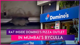 Rat Inside Domino's Pizza Outlet In Mumbai: 'Disgusting' Video From The Byculla Shop Goes Viral