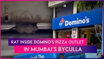 Rat Inside Domino's Pizza Outlet In Mumbai: 'Disgusting' Video From The Byculla Shop Goes Viral