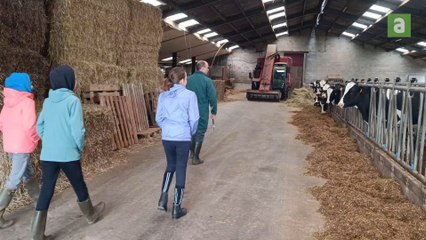 Herve : les 6e primaires ont vécu une journée aux côtés de vétérinaires, de puéricultrices, d'avocats,...