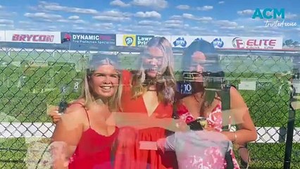 2024 Tamworth Cup a crowd magnet