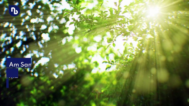 Bis zu 25 Grad möglich - Sommerwetter am Wochenende im Freistaat