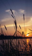 Willie Nelson Said | Positive quote | Change your life