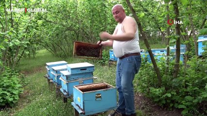 Çılgın arıcı yarı çıplak müdahalesi ile şaşırtıyor! "Arılarım beni tanır""
