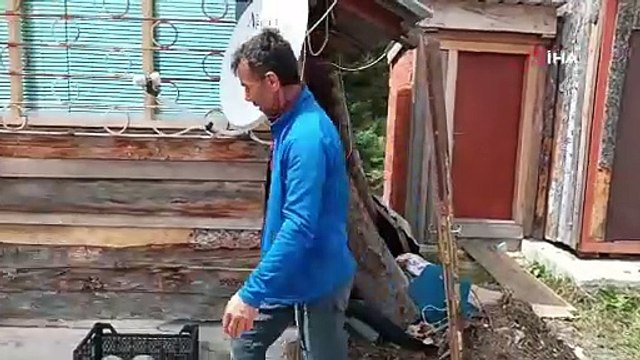 Böylesini daha önce görmemişsinizdir! Saldırılardan bıktı ayıya not yazdı