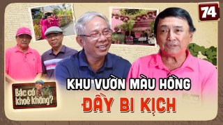 Bác Có Khỏe Không #74_ Người đàn ông MÀU HỒNG và chuỗi BI KỊCH cuộc đời