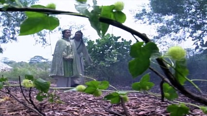 Thần điêu đại hiệp, Tập 33