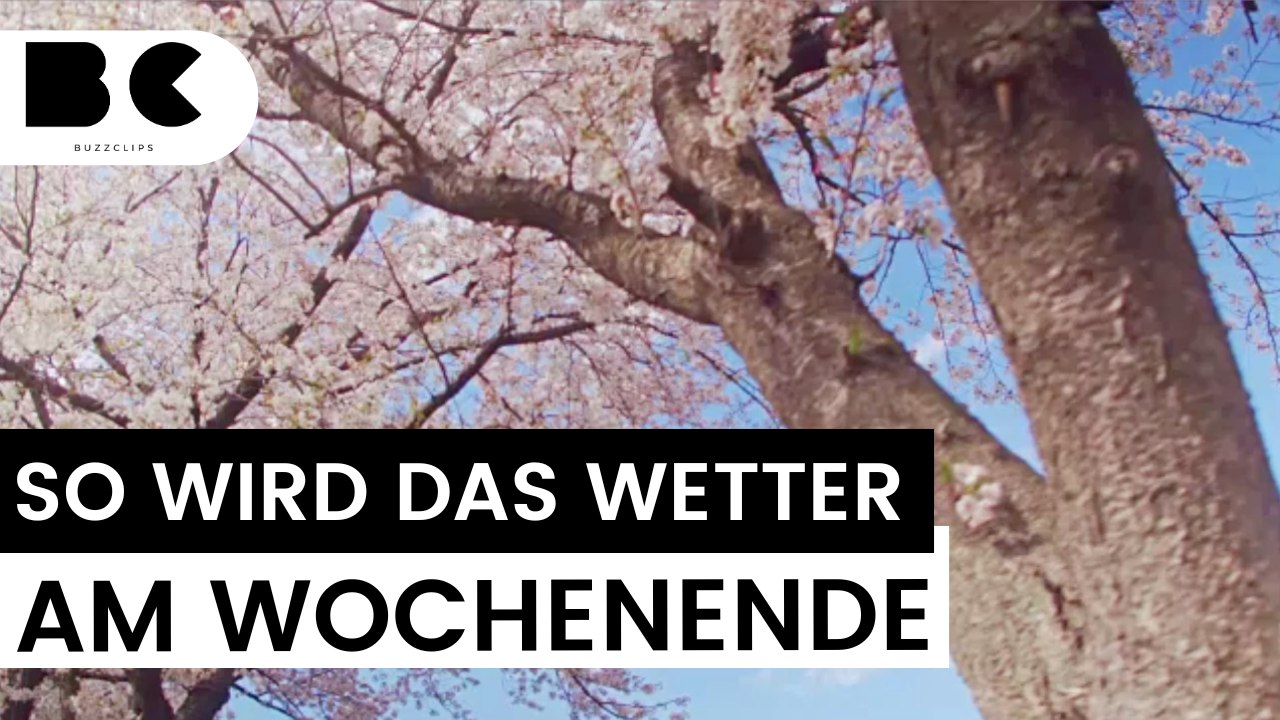 Frühlings-Comeback am Wochenende - bleibt er diesmal?