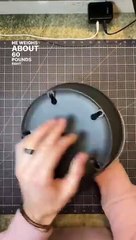 Are any of your pups underweight? It’s harder to put weight on than we realized!