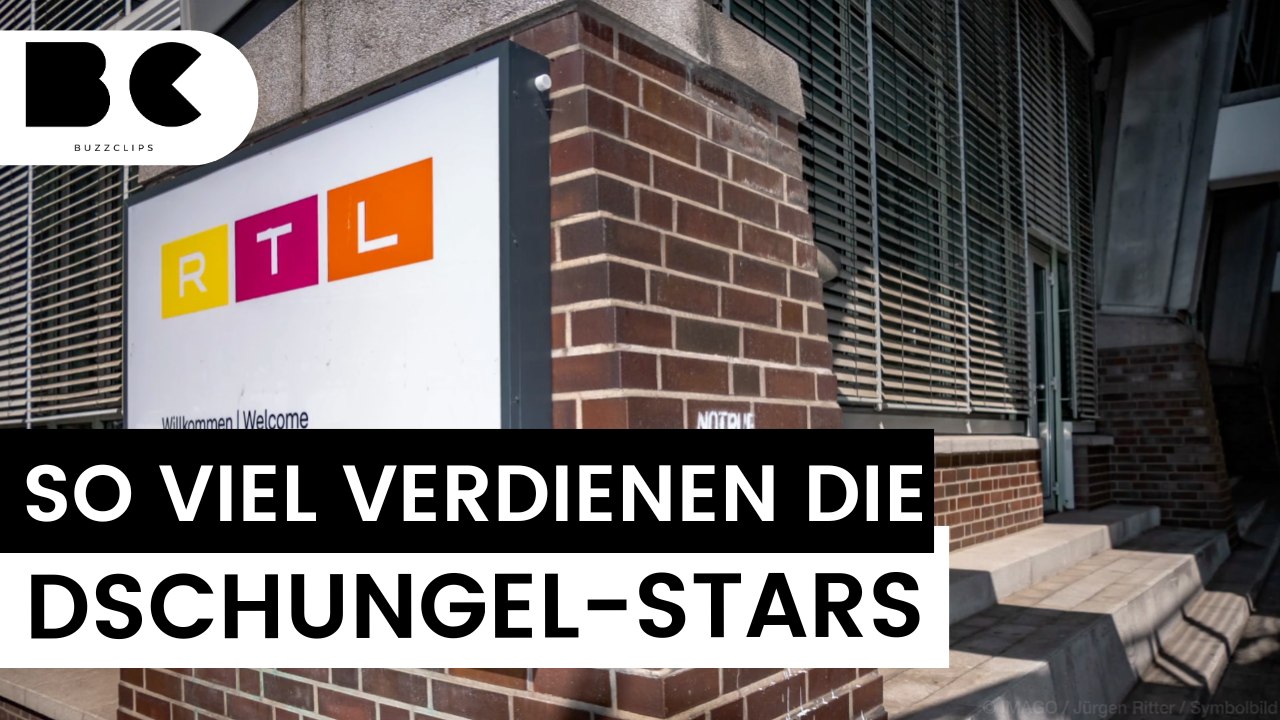 Dschungelcamp: So hoch sind die Gagen der Teilnehmer 2024!