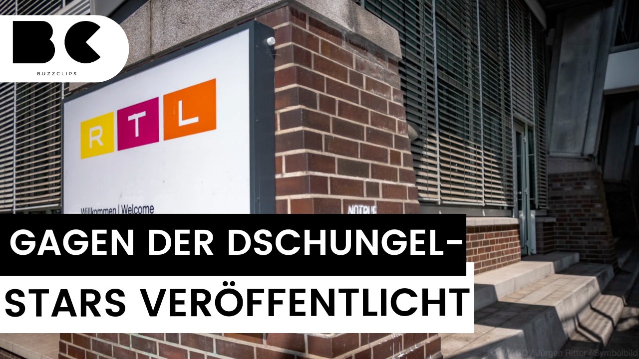 Dschungelcamp 2024: so viel verdienen die stars!