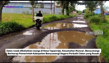 Jalan Desa Tapanrejo Muncar Seperti Kolam Ikan, Warga Berharap Pemerintah Kabupaten Banyuwangi Segera Perbaiki Jalan yang Rusak