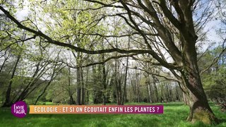 Ecologie : Et si on écoutait enfin les plantes ? Avec Jean Thoby, Audrey Dana et François Petit - Envie d'Agir