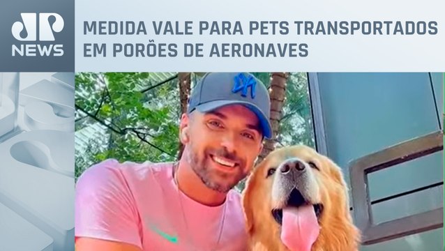 Empresas aéreas avaliam possibilidade de rastreamento de animais