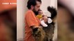 Yeni doğan bebeği sahibinden kıskanan kedinin yaptıkları kahkahaya boğdu