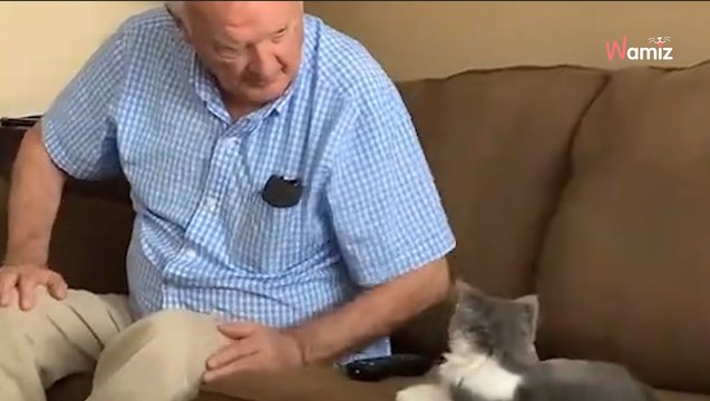 Son grand-père qui déteste les chats doit garder un chaton pendant une semaine : le scénario classique se produit