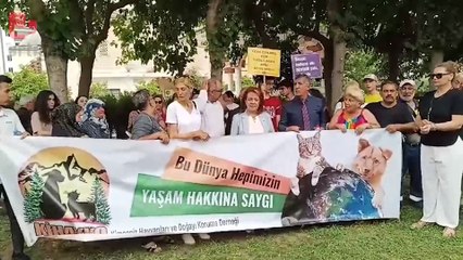 Adana'da kedilere bakan cami imamına sürgün
