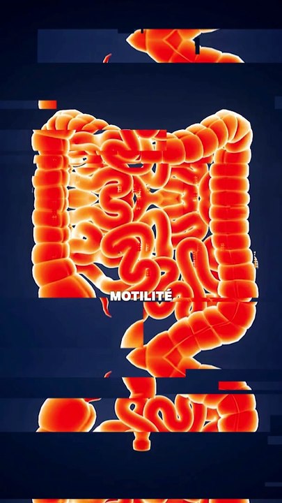 Pourquoi fumer donne envie d'aller aux toilettes ?