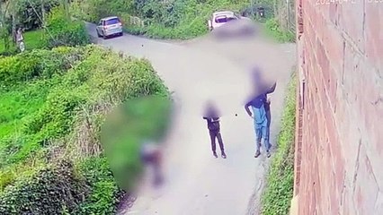 The youths seen attacking the peacock on CCTV