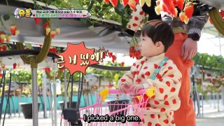 [ENG] The Return of Superman EP.530