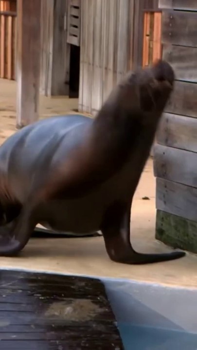 Une complicité hors du commun