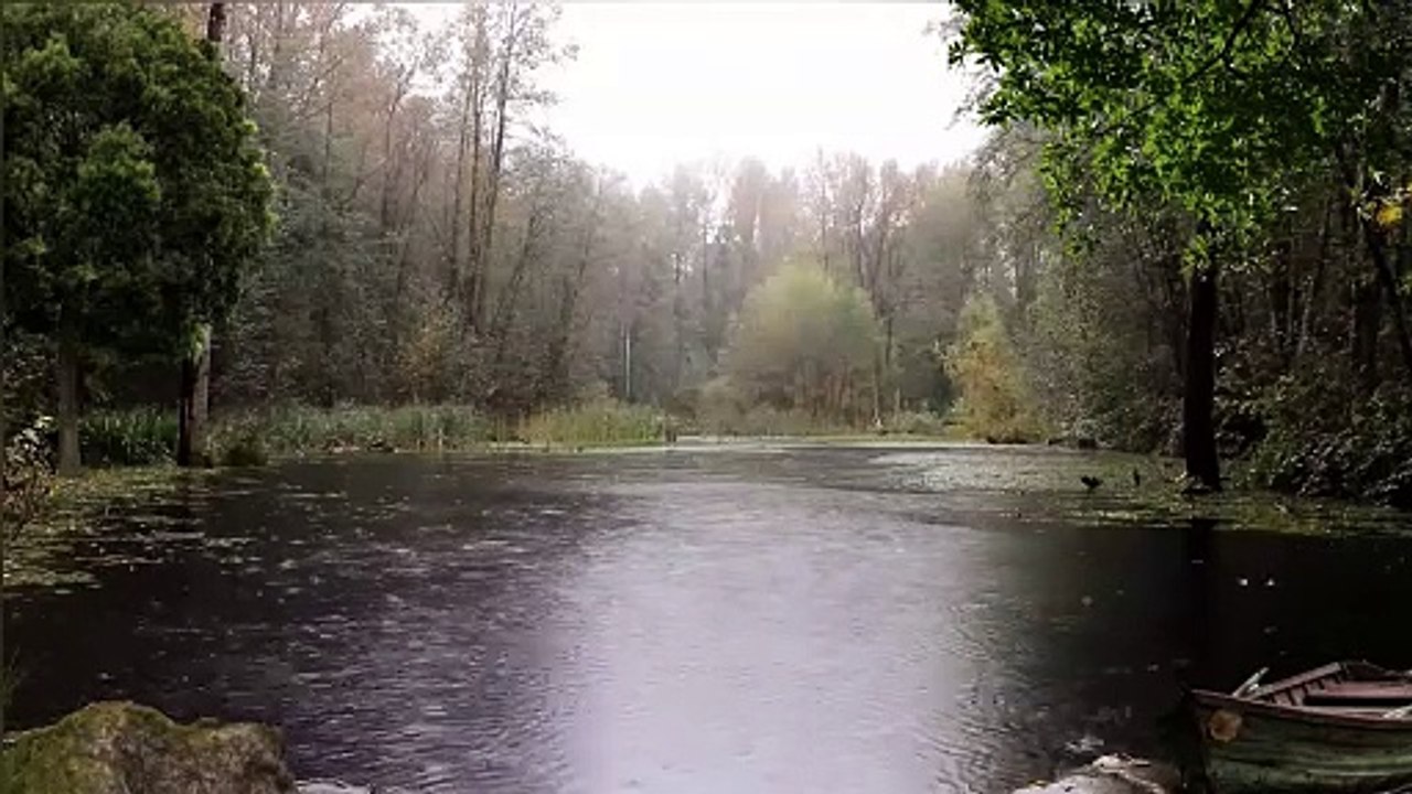 Rain on pond