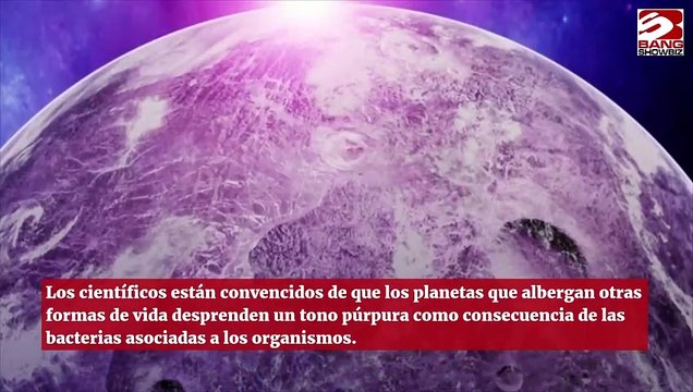 Especialistas aseguran que podría haber vida extraterrestre en los planetas color púrpura