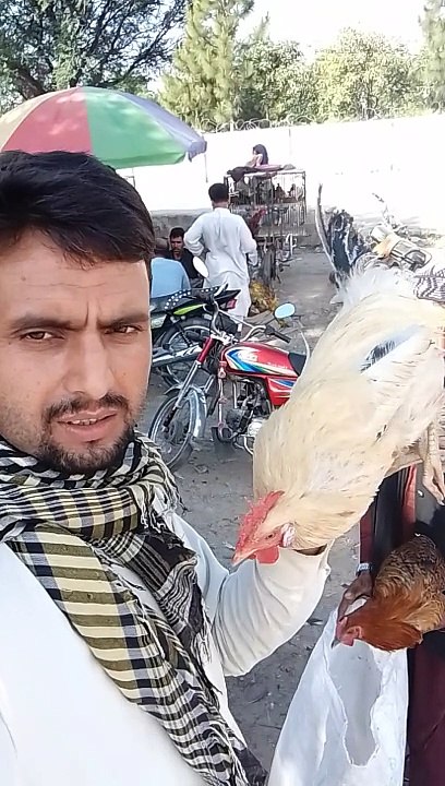 My shopping new video | sell mela