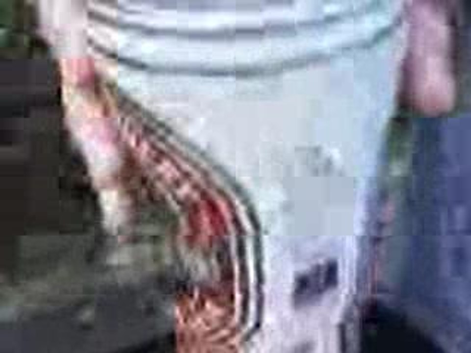 Asys auf der Parkbank