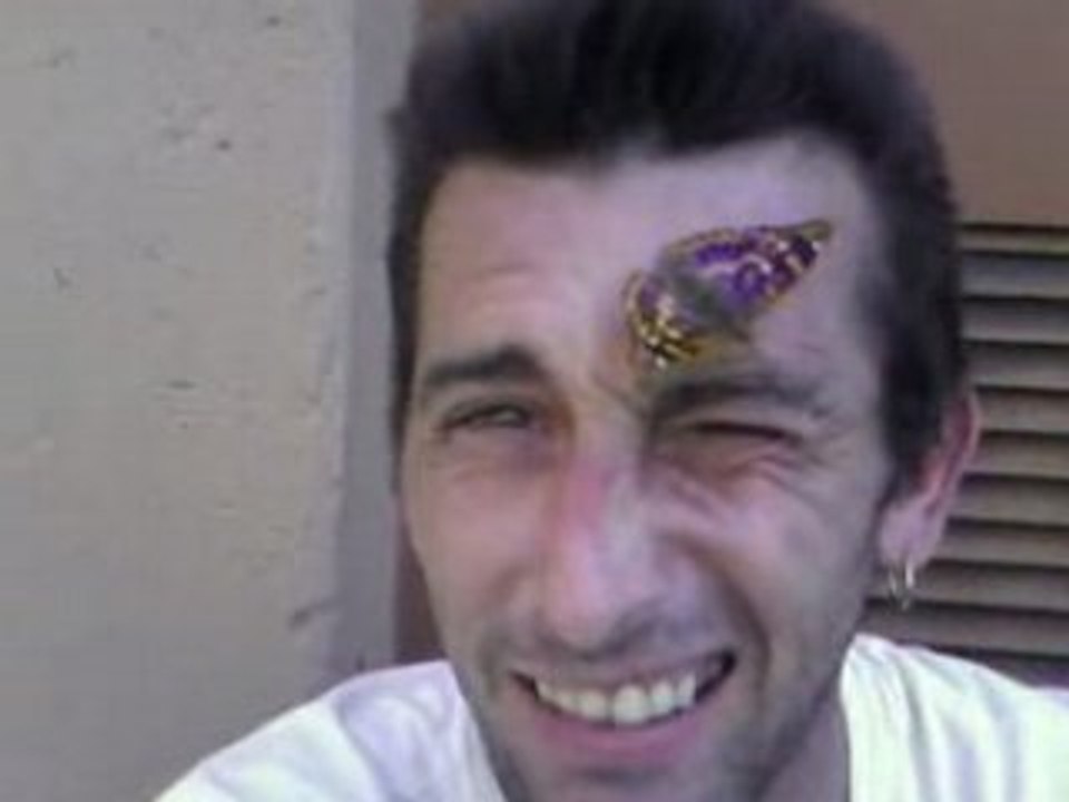Ami papillon !