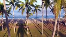 جمال البحر والشاطئ والنخيل - The beauty of the sea_ beach and palms(720P_HD)