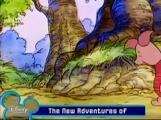 Winnie The Pooh Me and My Shadow English Episodes)