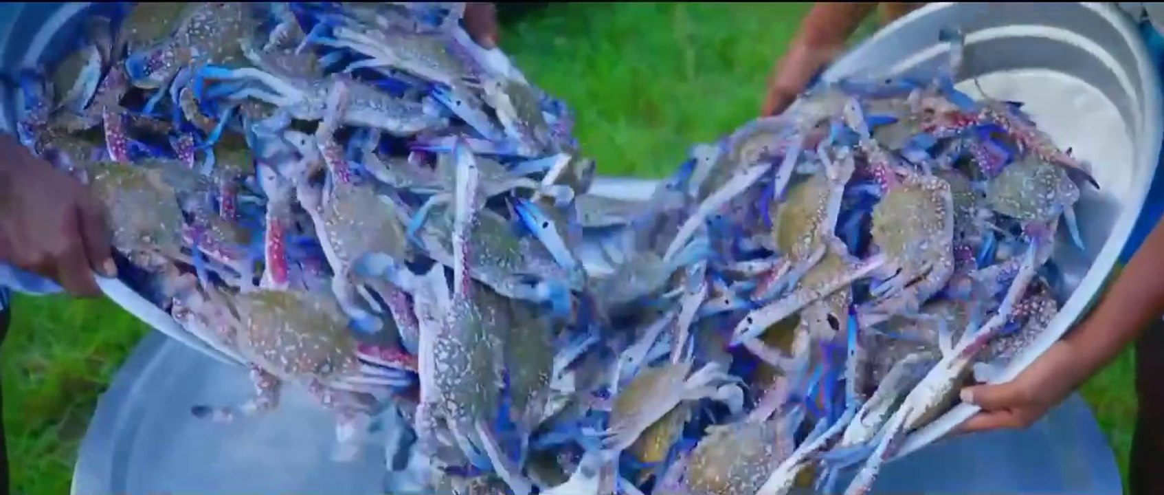 CRABS in HOT OIL | Seafood
