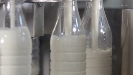 FDA Testing Reveals Bird Flu Virus in 1 in 5 Milk Samples