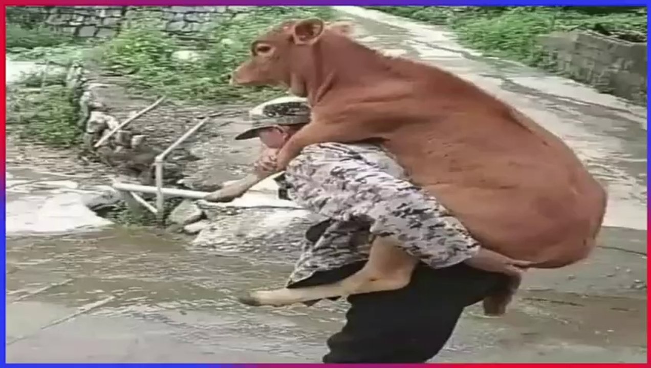 IF YOU LAUGH YOU LOSE _ Try Not To Laugh Challenge